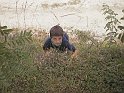 AUT_2541