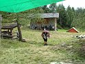 51camposcout